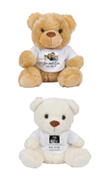 Personalised Teddy Bear with Tee